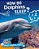 How Do Dolphins Sleep?-.. - Imagem 1