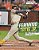 Fernando Tatis Jr.: Big-Time Hitter-.. - Imagem 1