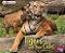 Tigers And Their Cubs: A 4D Book-.. - Imagem 1