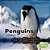 Penguins-.. - Imagem 1