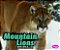 Mountain Lions-.. - Imagem 1