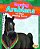 Drawing Arabians And Other Amazing Horses-.. - Imagem 1
