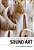 The Bloomsbury Handbook Of Sound Art-.. - Imagem 1
