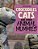 Crocodiles, Cats, And Other Animal Mummies-.. - Imagem 1