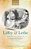 Liffey And Lethe: Paramnesiac History In Nineteenth-Century Anglo-Ireland-.. - Imagem 1