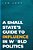 Small State's Guide To Influence In World Politics-.. - Imagem 1