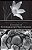 Essentials Of Developmental Plant Anatomy-.. - Imagem 1