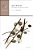 Bad Words: Philosophical Perspectives On Slurs-.. - Imagem 1