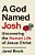 A God Named Josh: Uncovering The Human Life Of Jesus Christ-.. - Imagem 1