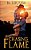 Chasing Flame-.. - Imagem 1