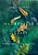 A Chronicle Of Grief: Finding Life After Traumatic Loss-.. - Imagem 1