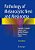 Pathology Of Melanocytic Nevi And Melanoma-.. - Imagem 1