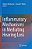 Inflammatory Mechanisms In Mediating Hearing Loss-.. - Imagem 1