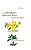 The Constituents Of Medicinal Plants: An Introduction To The Chemistry And Therapeutics Of Herbal Medicine-.. - Imagem 1