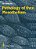 Pathology Of The Mesothelium-.. - Imagem 1