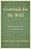 Gratitude For The Wild: Christian Ethics In The Wilderness-.. - Imagem 1