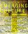 The Church In Emerging Culture: Five Perspectives-.. - Imagem 1