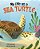My Life As A Sea Turtle-.. - Imagem 1