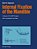Internal Fixation Of The Mandible: A Manual Of Ao/Asif Principles-.. - Imagem 1