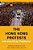 Hong Kong Protests And Political Theology-.. - Imagem 1