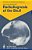 Radiodiagnosis Of The Skull: 103 Radiological Exercises For Students And Practitioners-.. - Imagem 1