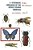 A Systematic Catalogue Of The Genus Zygaena Fabricius (Lepidoptera: Zygaenidae)-.. - Imagem 1