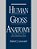 Human Gross Anatomy: An Outline Text-.. - Imagem 1