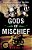 Gods Of Mischief: My Undercover Vendetta To Take Down The Vagos Outlaw Motorcycle Gang-.. - Imagem 1