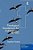 Theological Foundations For Collaborative Ministry-.. - Imagem 1