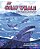 My Gray Whale Migration Journey-.. - Imagem 1