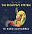 The Digestive System For Babies And Toddlers-.. - Imagem 1