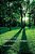 Paul Tillich, Carl Jung, And The Recovery Of Religion-.. - Imagem 1
