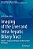 Imaging Of The Liver And Intra-Hepatic Biliary Tract: Volume 1: Imaging Techniques And Non-Tumoral Pathologies-.. - Imagem 1