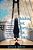 Thinking Just Hurts The Team: Find Happiness And Ignite Your Full Potential By Taking The Principles Of Yoga To The Workplace-.. - Imagem 1