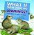 What If There Were No Lemmings?: A Book About The Tundra Ecosystem-.. - Imagem 1