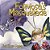 Formosa's Masquerade-.. - Imagem 1