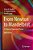 From Newton To Mandelbrot: A Primer In Theoretical Physics-.. - Imagem 1
