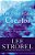 The Case For A Creator: A Journalist Investigates Scientific Evidence That Points Toward God-.. - Imagem 1