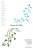 Atoms And Eden: Conversations On Religion And Science-.. - Imagem 1