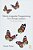 Neuro-Linguistic Programming For Change Leaders: The Butterfly Effect-.. - Imagem 1