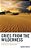Cries From The Wilderness: Reimagining Church Culture In An Age Of Uncertainty-.. - Imagem 1