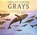 Twelve Daring Grays: A Whale Migration Adventure: (A Nonfiction Picture Book About Marine Life, Animal Behavior, And Ocean Ecosystems For Ages 5-8)-.. - Imagem 1