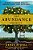 The Abundance Project: 40 Days To More Wealth, Health, Love, And Happiness-.. - Imagem 1