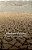 Abrahamic Religions: On The Uses And Abuses Of History-.. - Imagem 1