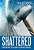 Shattered: Your Road Map To Relevance In Corporate America-.. - Imagem 1