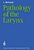 Pathology Of The Larynx-.. - Imagem 1