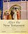 After The New Testament: 100-300 C. E.: A Reader In Early Christianity-.. - Imagem 1