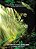 Nature Is Our Nurture: A Picture Book Of Empowering Life Lessons For The Child In All Of US-.. - Imagem 1