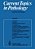 Current Topics In Pathology: Ergebnisse Der Pathologie-.. - Imagem 1