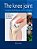 The Knee Joint: Surgical Techniques And Strategies-.. - Imagem 1